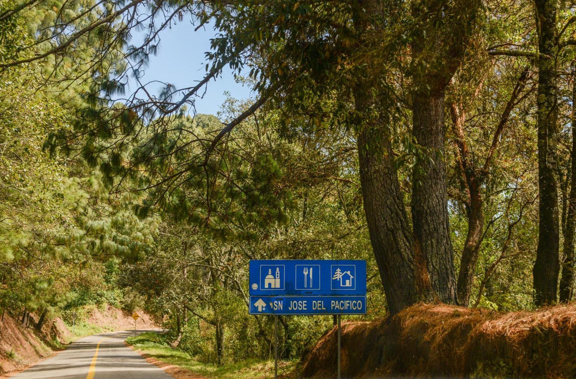 San Jose Del Pacifico- Cabanas Camino Al Cielo 2 Eksteriør billede