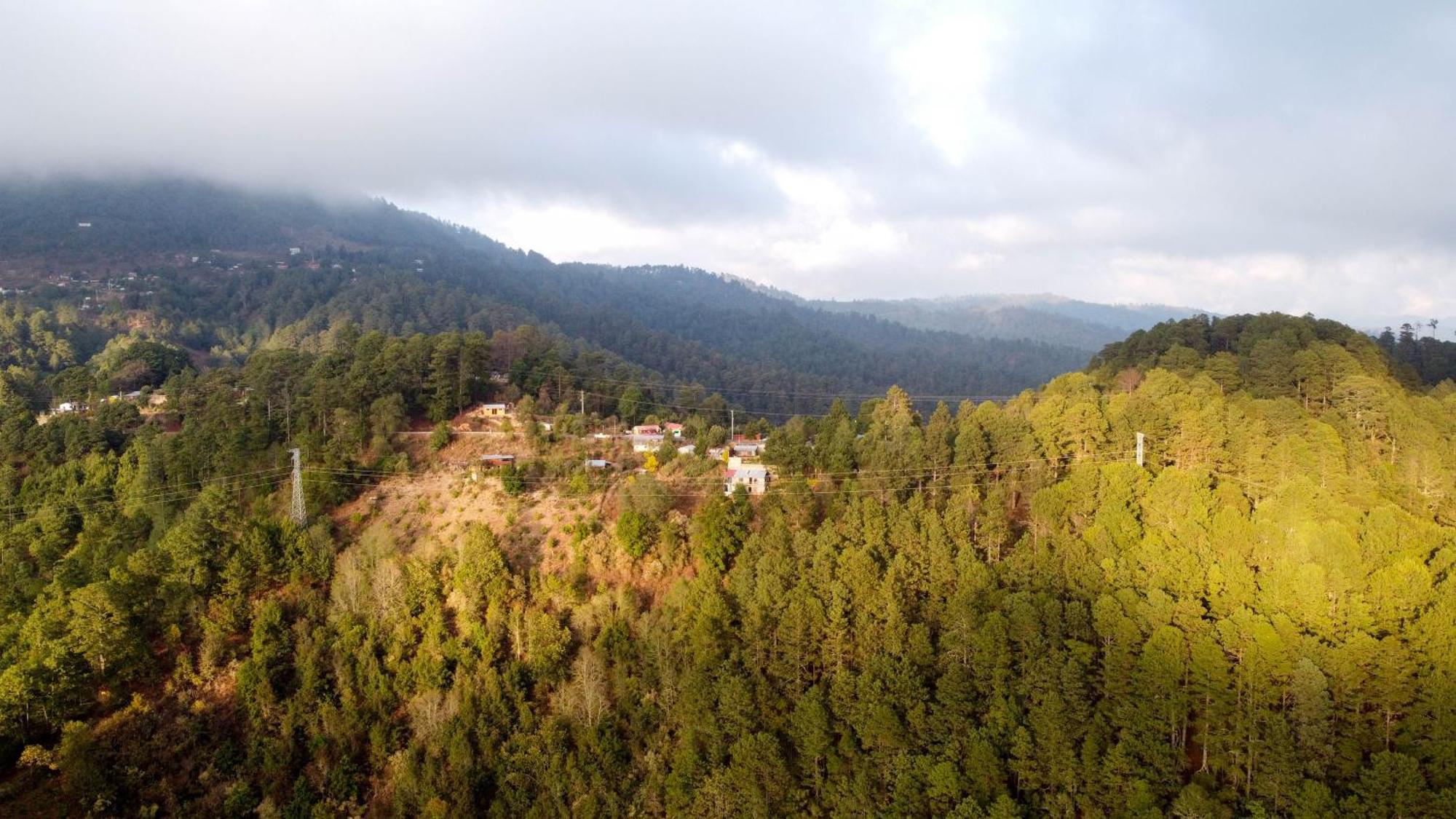 San Jose Del Pacifico- Cabanas Camino Al Cielo 2 Eksteriør billede