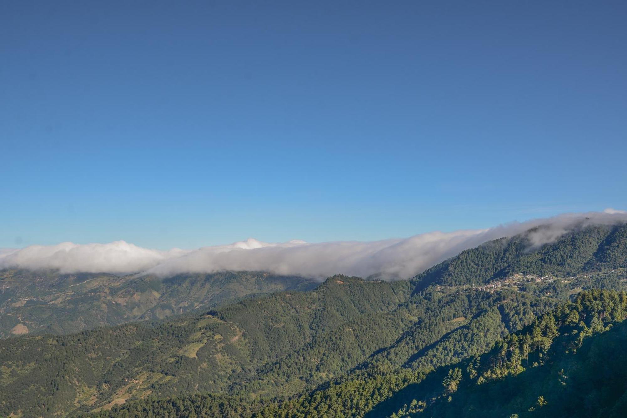 San Jose Del Pacifico- Cabanas Camino Al Cielo 2 Eksteriør billede