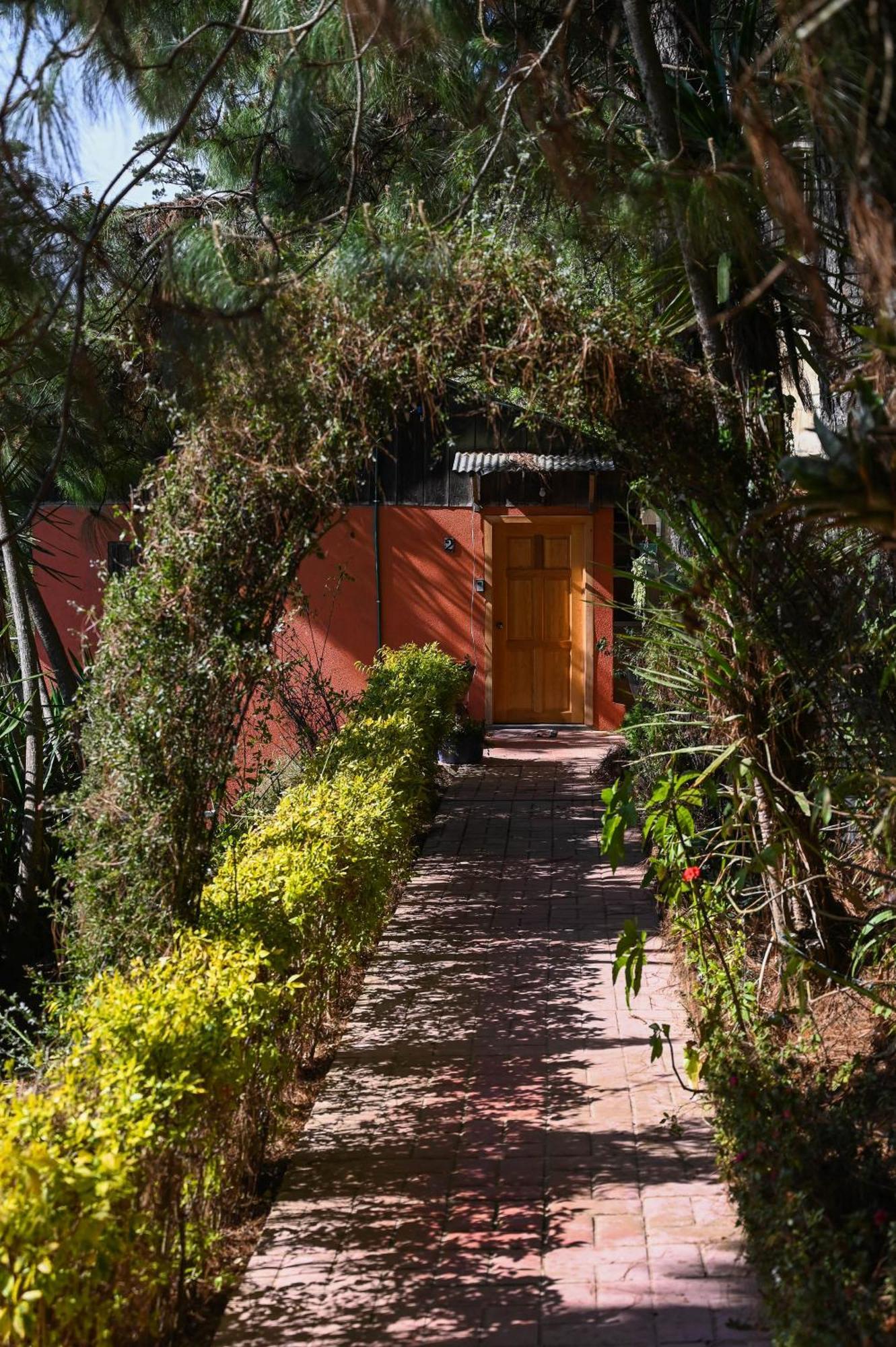 San Jose Del Pacifico- Cabanas Camino Al Cielo 2 Eksteriør billede